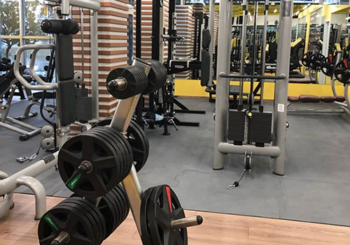 Fitness